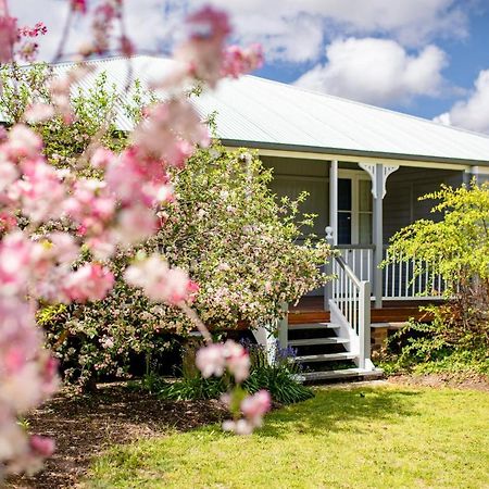 Apple Blossom Cottages Stanthorpe Kültér fotó