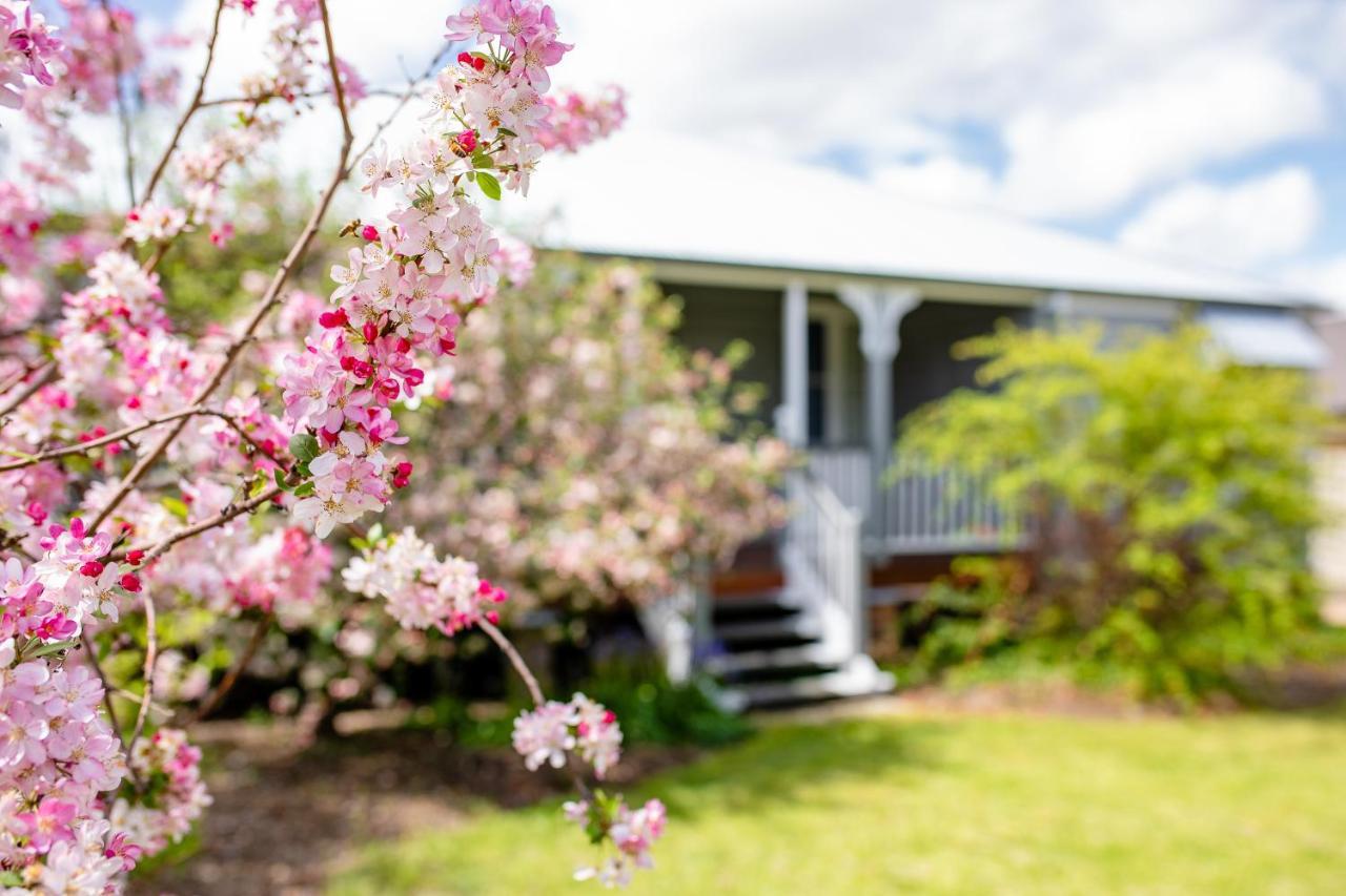 Apple Blossom Cottages Stanthorpe Kültér fotó
