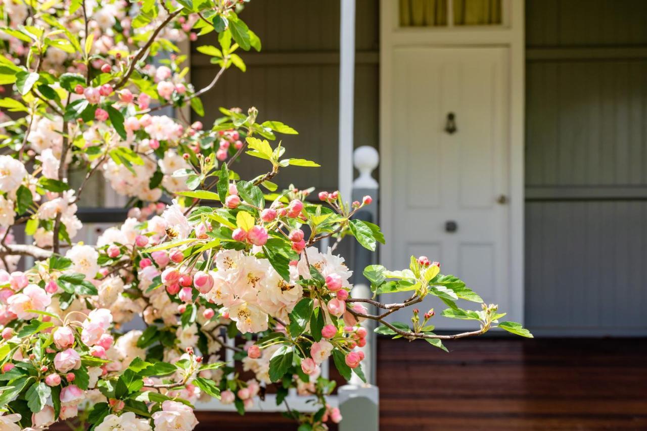 Apple Blossom Cottages Stanthorpe Kültér fotó