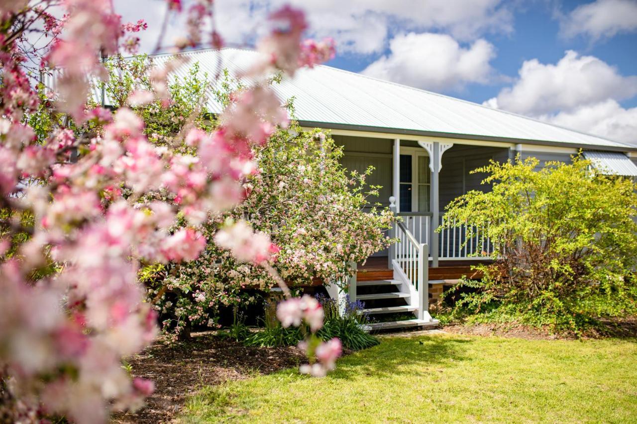 Apple Blossom Cottages Stanthorpe Kültér fotó
